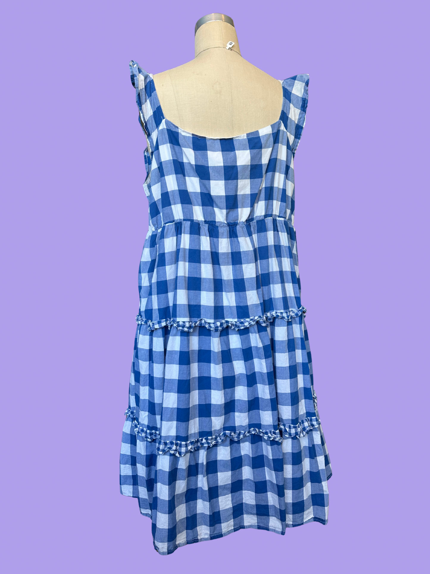 The Gingham Dress