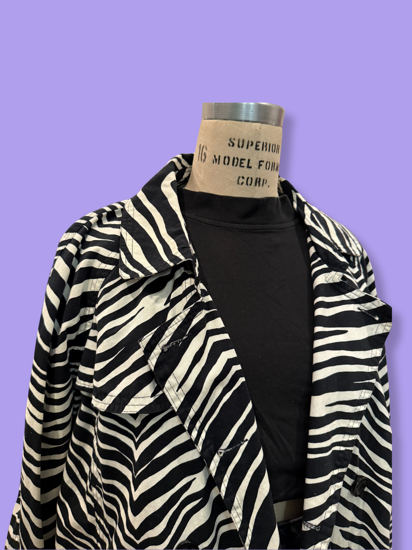 The Zebra Jacket