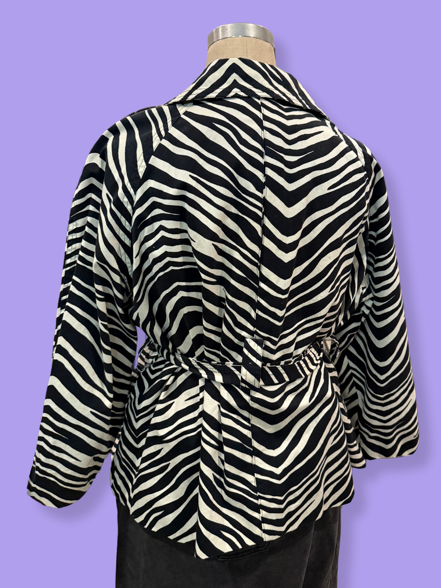 The Zebra Jacket